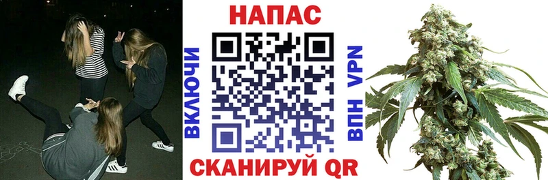 Купить закладку Cocaine  МЕФ  СК  Гашиш  Торопец
