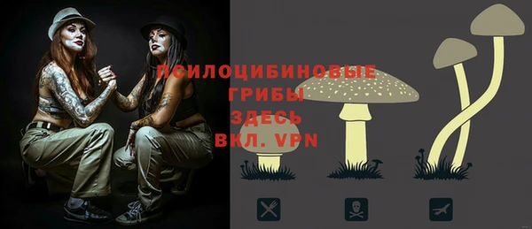 тгк Алексин