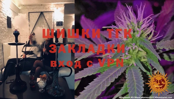 тгк Алексин